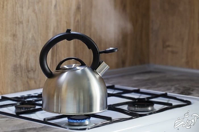 یخ زدایی گوشت با بخار گوشت